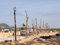 Đất nền mặt tiền biển giá rẻ 1,4 tỷ/nền tiện kinh doanh Đất nền mặt tiền biển giá rẻ 1,4 tỷ/nền tiện kinh doanh