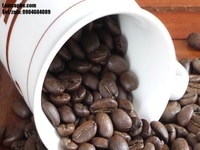 Café hạt Robusta đặc biệt giống cũ chất lượng cao, giao hàng nhanh Café hạt Robusta đặc biệt giống cũ chất lượng cao, giao hàng nhanh
