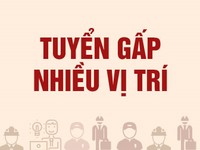 Tuyển thiết kế đồ hoạ, quản đốc xưởng, trưởng ca, thợ vận hành máy Tuyển thiết kế đồ hoạ, quản đốc xưởng, trưởng ca, thợ vận hành máy