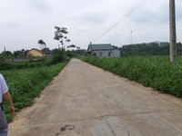 Cần bán 2300m đất thổ cư xã yên bài vị trí đẹp Cần bán 2300m đất thổ cư xã yên bài vị trí đẹp