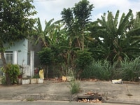 Bán đất Bến Lức mặt tiền đường ĐT 835, 100m2, Giá 800 triệu Bán đất Bến Lức mặt tiền đường ĐT 835, 100m2, Giá 800 triệu