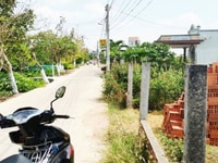 480 m2 đất thổ đường ô tô 835a, xã mỹ lộc, cần giuộc, chỉ 7 tr/m2 480 m2 đất thổ đường ô tô 835a, xã mỹ lộc, cần giuộc, chỉ 7 tr/m2