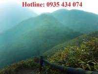 Tung ra giỏ hàng siêu hot ven biển Điện Dương Tung ra giỏ hàng siêu hot ven biển Điện Dương