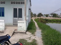 Cần bán gấp đất lúa cách mặt tiền đường xe tải 100m ở Ấp 5, xã Tân Ân Cần bán gấp đất lúa cách mặt tiền đường xe tải 100m ở Ấp 5, xã Tân Ân