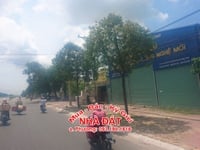 Đất hẻm 5m vị trí cực đẹp đường 2 tháng 9, P.12, TP. Vũng Tàu Đất hẻm 5m vị trí cực đẹp đường 2 tháng 9, P.12, TP. Vũng Tàu