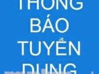Cần tuyển gấp kế toán nam, tuổi từ 22-30 Cần tuyển gấp kế toán nam, tuổi từ 22-30