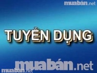 Công ty cần tuyển nhân viên lễ tân với nhiều phúc lợi Công ty cần tuyển nhân viên lễ tân với nhiều phúc lợi