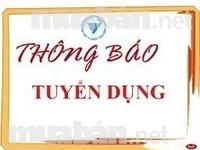 Bộ phận nhân sự cần tuyển nhân viên văn phòng Bộ phận nhân sự cần tuyển nhân viên văn phòng