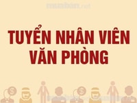 Tuyển gấp nhân viên nam nữ làm việc tại chi nhánh mới hỗ trợ văn phòng Tuyển gấp nhân viên nam nữ làm việc tại chi nhánh mới hỗ trợ văn phòng
