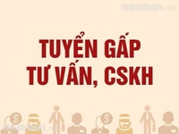 Tuyển 30 SV gọi ĐT chăm sóc KH 3 tiếng/ngày Tuyển 30 SV gọi ĐT chăm sóc KH 3 tiếng/ngày
