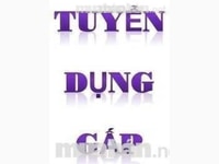 Công ty đang khai trương cần tìm nhân viên nam/ nữ chăm sóc khách Công ty đang khai trương cần tìm nhân viên nam/ nữ chăm sóc khách