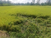 Bán đất mặt tiền đẹp 57m, QL 61C Bán đất mặt tiền đẹp 57m, QL 61C
