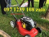 Máy cắt cỏ tự hành DCM 1668, hàng chính hãng, giá cực mê Máy cắt cỏ tự hành DCM 1668, hàng chính hãng, giá cực mê