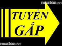 Cần 5 Nhân Viên Bán Hàng Tại Siêu Thị Mini Cần 5 Nhân Viên Bán Hàng Tại Siêu Thị Mini