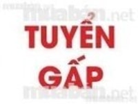 Đại lý cần gấp nam, nữ bán hàng tiêu dùng. Đại lý cần gấp nam, nữ bán hàng tiêu dùng.