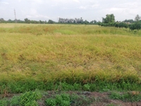 Bán 9.000m2 Đất mắt mặt tiền QL 61C, Đường nối Vị Thanh Cần Thơ Bán 9.000m2 Đất mắt mặt tiền QL 61C, Đường nối Vị Thanh Cần Thơ