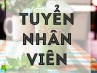 Tuyển gấp nam nữ thu ngân tại siêu thị mini Tuyển gấp nam nữ thu ngân tại siêu thị mini