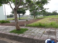 Đất thổ cư đối diện UBND Thủ Thừa vị trí cực đẹp giá cực mềm, SHR Đất thổ cư đối diện UBND Thủ Thừa vị trí cực đẹp giá cực mềm, SHR