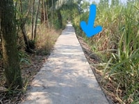Bán đất thổ cư chính chủ giá rẻ,105m giá 350tr Bán đất thổ cư chính chủ giá rẻ,105m giá 350tr