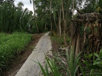 Bán đất đẹp giá rẻ 350 triệu, diện tích 100m, xã Hựu Thạnh Bán đất đẹp giá rẻ 350 triệu, diện tích 100m, xã Hựu Thạnh