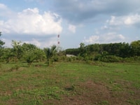 Bán gấp đất 270 triệu 1000m2, đất nằm ngay km số 10 Bán gấp đất 270 triệu 1000m2, đất nằm ngay km số 10