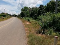 Đất vườn bưởi da xanh xã Phú Lý huyện Vĩnh Cửu Đồng Nai Đất vườn bưởi da xanh xã Phú Lý huyện Vĩnh Cửu Đồng Nai