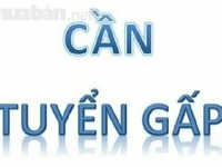 Cần tuyển gấp 05 lao động phổ thông làm việc tại siêu thị mini Cần tuyển gấp 05 lao động phổ thông làm việc tại siêu thị mini