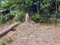 Bán đất Xuân La, 90,2m2, MT 6,1m, 7,81 tỷ, ô tô vào nhà, cách Phố 40m Bán đất Xuân La, 90,2m2, MT 6,1m, 7,81 tỷ, ô tô vào nhà, cách Phố 40m