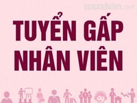 Khách sạn Nhị Long cần tuyển nhân viên tạp vụ