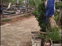 Chính chủ kẹt tiền cần bán gấp lô Như Xuân - Vĩnh Phương 580tr Chính chủ kẹt tiền cần bán gấp lô Như Xuân - Vĩnh Phương 580tr
