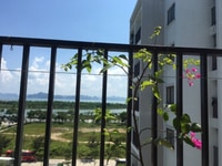 Cho Thuê chung cư Sunrise- Bãi Cháy- Làm Homestay Cho Thuê chung cư Sunrise- Bãi Cháy- Làm Homestay