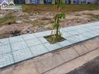 Đất củ chi sổ riêng 5x20m trả trước 1 tỷ nhận đất xây nhà Đất củ chi sổ riêng 5x20m trả trước 1 tỷ nhận đất xây nhà