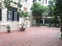 Cho thuê biệt thự sân vườn cực đẹp tại Đê La Thành, DT: 200m² x 4 tầng Cho thuê biệt thự sân vườn cực đẹp tại Đê La Thành, DT: 200m² x 4 tầng