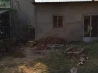 Nhà nát, Bán Gấp để đi định cư SHR, XDTD ngay Nhà nát, Bán Gấp để đi định cư SHR, XDTD ngay