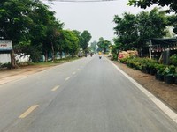 Đất gần chùa Phước Viên đường Cây Trôm – Củ Chi gần Quốc Lộ 22 Đất gần chùa Phước Viên đường Cây Trôm – Củ Chi gần Quốc Lộ 22