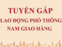 Tuyển gấp lao động phổ thông, nam giao hàng làm tại Quận 5