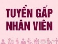 Cần tuyển dụng gấp nhân viên nam nữ trợ lý văn phòng Cần tuyển dụng gấp nhân viên nam nữ trợ lý văn phòng