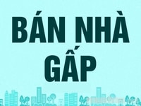 Bán nhà hẻm xe hơi 142 Nguyễn Thị Thập, Quận 7, 5x20m, 3 lầu, giá rẻ