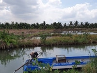 Đất Phú Đông-Giá chính chủ-Sổ hồng riêng-Xe hơi tận đất Đất Phú Đông-Giá chính chủ-Sổ hồng riêng-Xe hơi tận đất