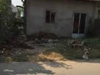 Cần Bán Nhà Nát ở Củ Chi, SHR, vị trí đẹp, sang tên nhanh Cần Bán Nhà Nát ở Củ Chi, SHR, vị trí đẹp, sang tên nhanh
