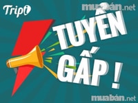 Tuyển gấp soạn thảo văn bản, làm hợp đồng lao động, tuyển dụng Tuyển gấp soạn thảo văn bản, làm hợp đồng lao động, tuyển dụng