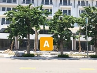 Cho thuê một số căn Mon Bay làm nhà hàng, thời trang, văn phòng Cho thuê một số căn Mon Bay làm nhà hàng, thời trang, văn phòng