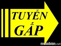 Cần 2 thợ nữ ráy tai, gội đầu giỏi... ăn chia 5/5. lương bao tuần 1,6t Cần 2 thợ nữ ráy tai, gội đầu giỏi... ăn chia 5/5. lương bao tuần 1,6t