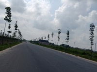 Đất bình phước sổ sách đầy đủ vừa rẽ vừa đẹp nhanh Đất bình phước sổ sách đầy đủ vừa rẽ vừa đẹp nhanh