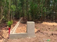 Bán 2 lô đất MT đường Bầu Lồng (Đường Liên Xã), Sổ Hồng Riêng Bán 2 lô đất MT đường Bầu Lồng (Đường Liên Xã), Sổ Hồng Riêng
