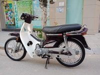 Drem thái nguyên zin chính chủ biển Hà nội Drem thái nguyên zin chính chủ biển Hà nội