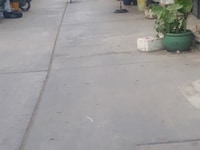 Nhà Hẻm Lý Thánh Tông, Hiệp Tân, Quận Tân Phú Nhà Hẻm Lý Thánh Tông, Hiệp Tân, Quận Tân Phú
