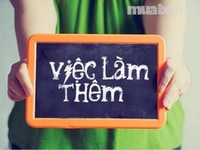 Cần Tuyển Nhân Viên Quận Tân Bình Cần Tuyển Nhân Viên Quận Tân Bình