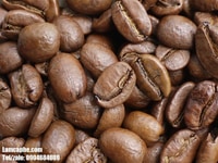 Cà phê sữa đá đặc biệt thượng hạng cho quán cafe sạch Cà phê sữa đá đặc biệt thượng hạng cho quán cafe sạch