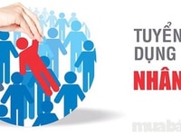 Cần tuyển nhân viên bán hàng tại quầy cửa hàng Cần tuyển nhân viên bán hàng tại quầy cửa hàng